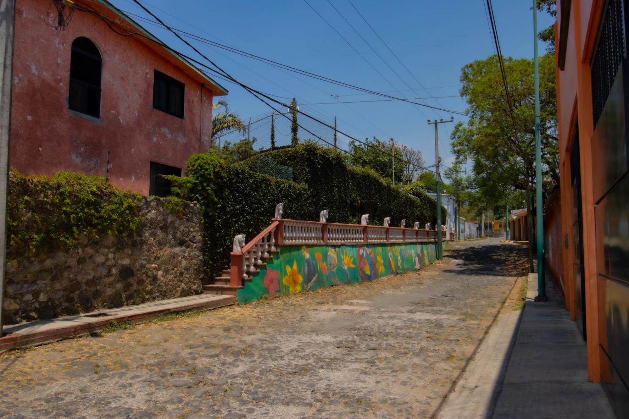 New! Bamboo Rooftop Villa Cuernavaca Esterno foto